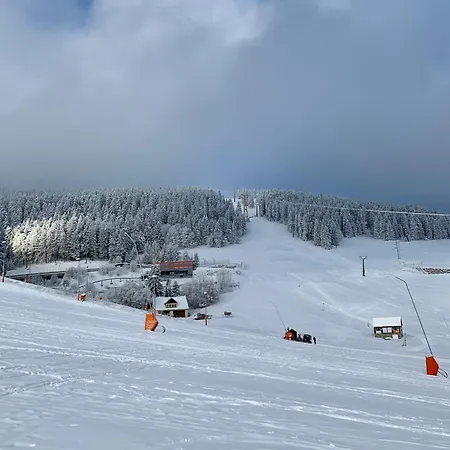 Апартаменты Erzgebirge Bergruhe Курорт Обервизенталь