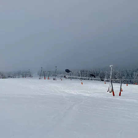 Erzgebirge Bergruhe 公寓 奥泊维森塔尔