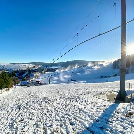 Erzgebirge Bergruhe Апартаменты Курорт Обервизенталь
