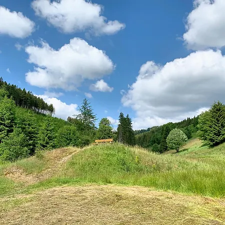 Апартаменты Erzgebirge Bergruhe Курорт Обервизенталь