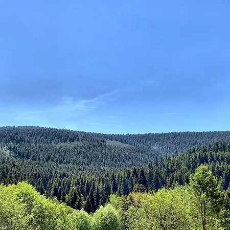 Апартаменты Erzgebirge Bergruhe
