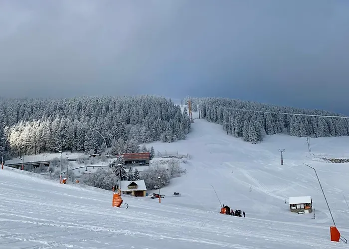 Апартаменты Erzgebirge Bergruhe Курорт Обервизенталь