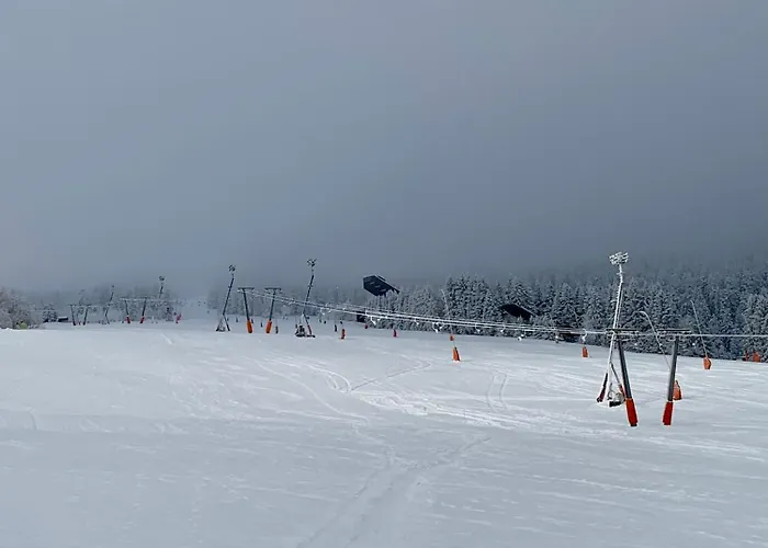 Erzgebirge Bergruhe Апартаменты Курорт Обервизенталь