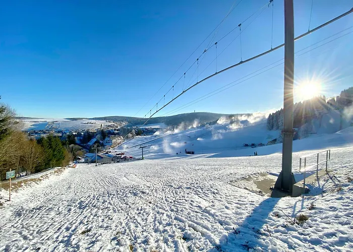 Erzgebirge Bergruhe Апартаменты Курорт Обервизенталь