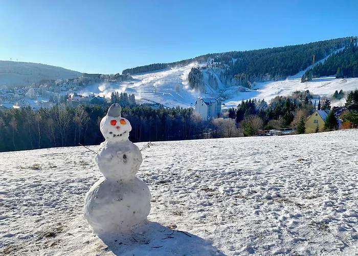 Апартаменты Erzgebirge Bergruhe Курорт Обервизенталь