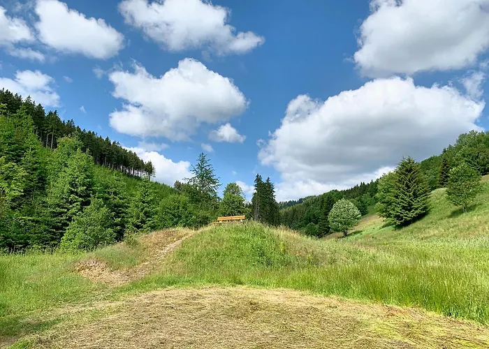 Апартаменты Erzgebirge Bergruhe Курорт Обервизенталь