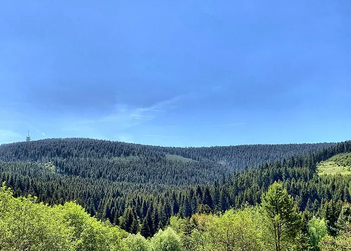 Апартаменты Erzgebirge Bergruhe